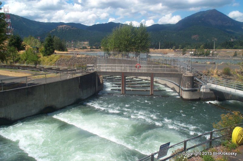 Fish ladder, Bonneville dam, Columbia River, Oregon